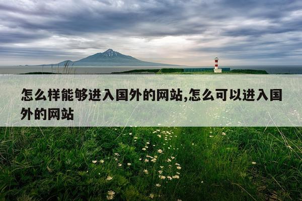 怎么样能够进入国外的网站,怎么可以进入国外的网站