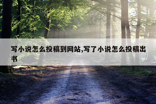 写小说怎么投稿到网站,写了小说怎么投稿出书