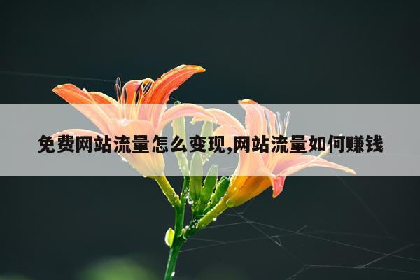 免费网站流量怎么变现,网站流量如何赚钱