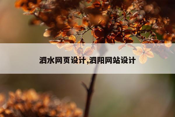 泗水网页设计,泗阳网站设计