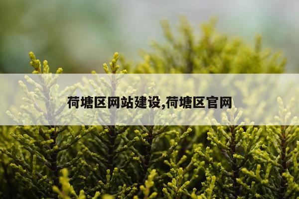 荷塘区网站建设,荷塘区官网
