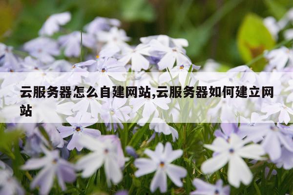云服务器怎么自建网站,云服务器如何建立网站