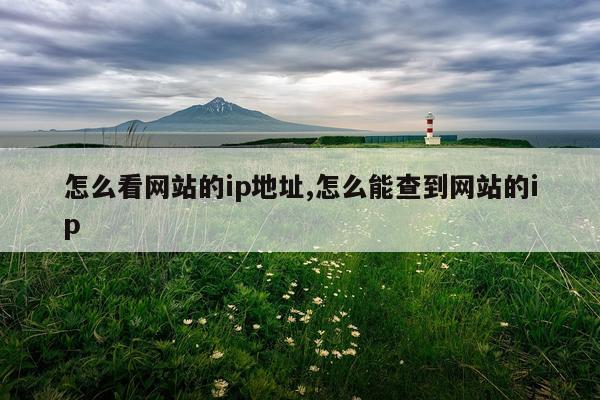 怎么看网站的ip地址,怎么能查到网站的ip
