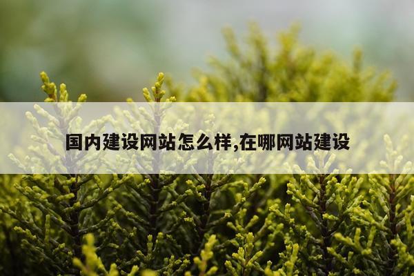 国内建设网站怎么样,在哪网站建设
