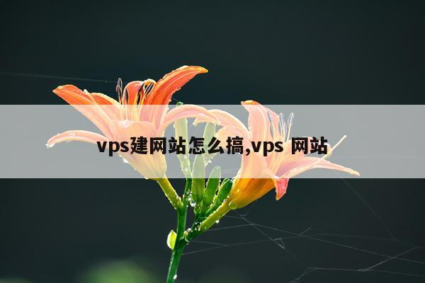 vps建网站怎么搞,vps 网站