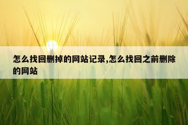怎么找回删掉的网站记录,怎么找回之前删除的网站
