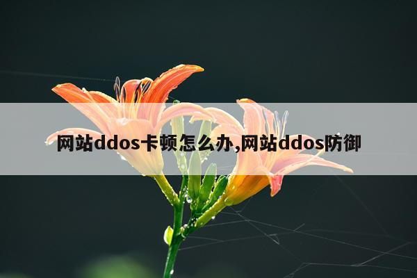 网站ddos卡顿怎么办,网站ddos防御