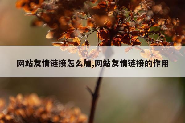 网站友情链接怎么加,网站友情链接的作用