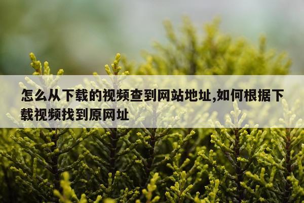 怎么从下载的视频查到网站地址,如何根据下载视频找到原网址