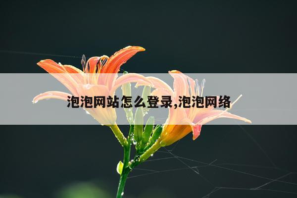 泡泡网站怎么登录,泡泡网络