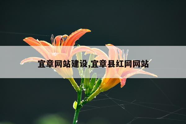宜章网站建设,宜章县红网网站