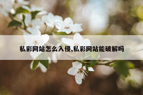 私彩网站怎么入侵,私彩网站能破解吗