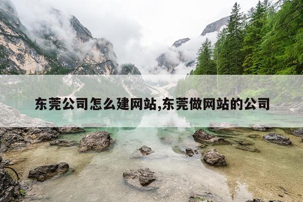 东莞公司怎么建网站,东莞做网站的公司