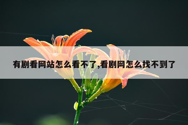 有剧看网站怎么看不了,看剧网怎么找不到了