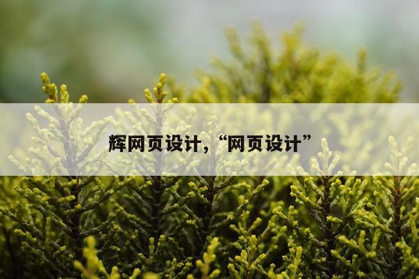 辉网页设计,“网页设计”