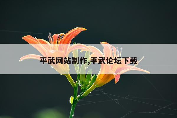 平武网站制作,平武论坛下载