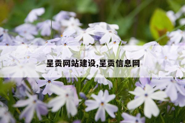 呈贡网站建设,呈贡信息网