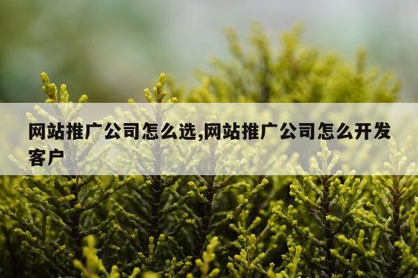网站推广公司怎么选,网站推广公司怎么开发客户