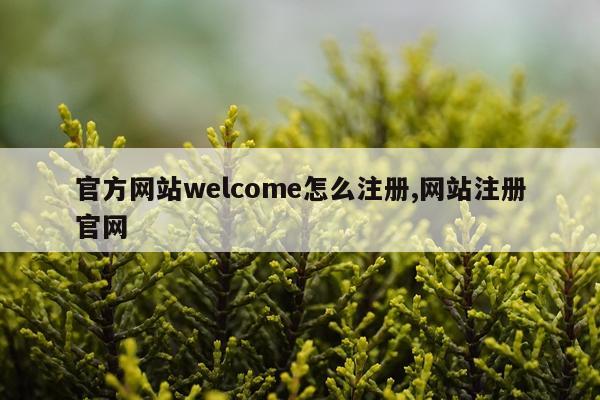 官方网站welcome怎么注册,网站注册官网