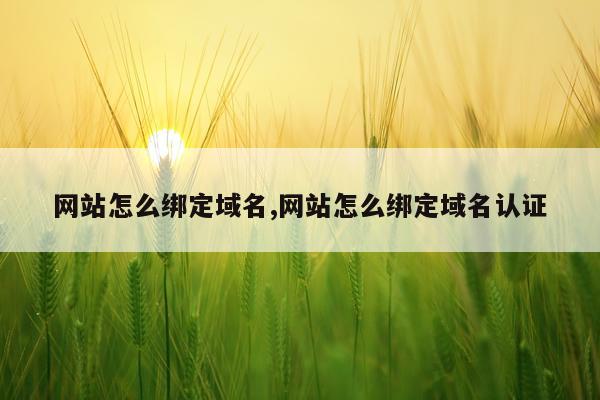 网站怎么绑定域名,网站怎么绑定域名认证