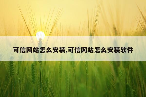可信网站怎么安装,可信网站怎么安装软件