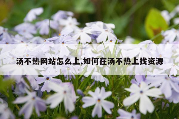 汤不热网站怎么上,如何在汤不热上找资源