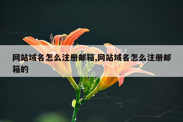 网站域名怎么注册邮箱,网站域名怎么注册邮箱的
