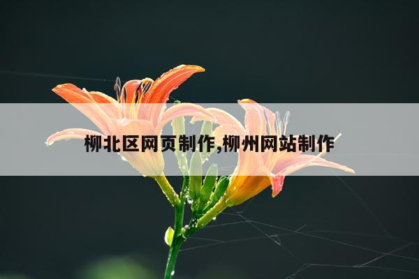 柳北区网页制作,柳州网站制作