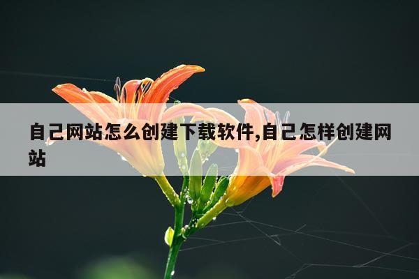 自己网站怎么创建下载软件,自己怎样创建网站
