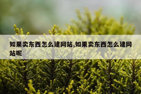 如果卖东西怎么建网站,如果卖东西怎么建网站呢