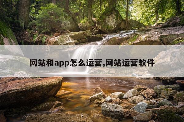 网站和app怎么运营,网站运营软件