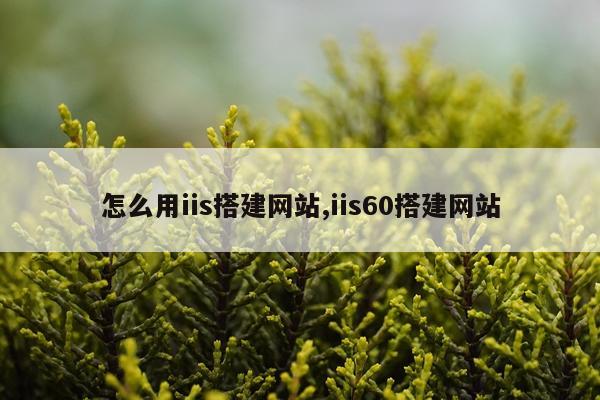 怎么用iis搭建网站,iis60搭建网站