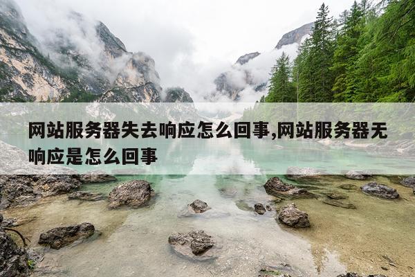 网站服务器失去响应怎么回事,网站服务器无响应是怎么回事