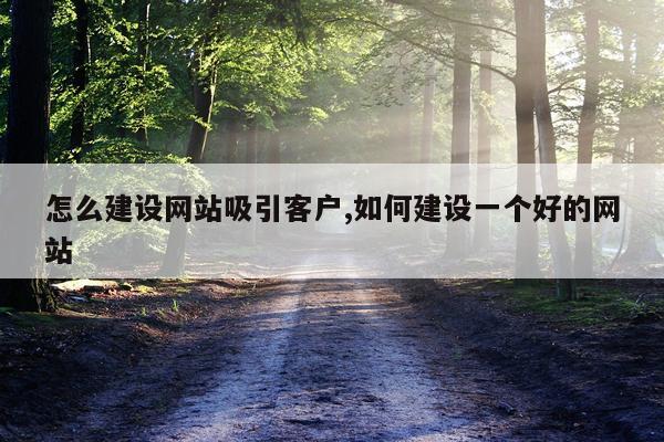 怎么建设网站吸引客户,如何建设一个好的网站