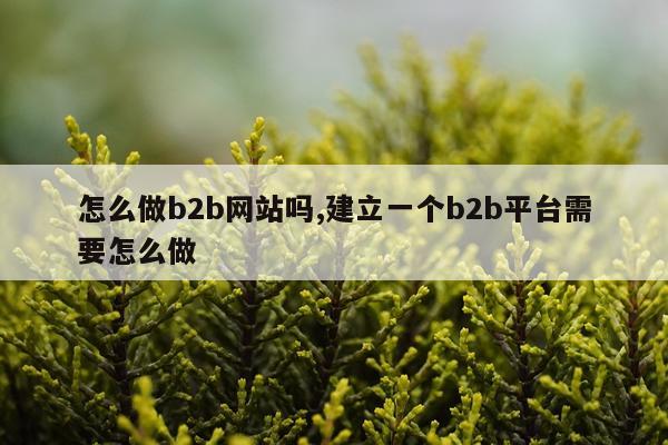 怎么做b2b网站吗,建立一个b2b平台需要怎么做
