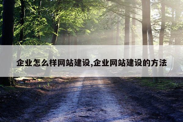 企业怎么样网站建设,企业网站建设的方法