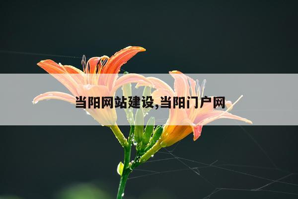 当阳网站建设,当阳门户网