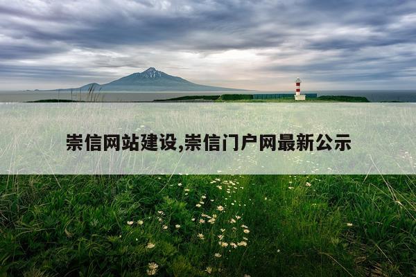 崇信网站建设,崇信门户网最新公示