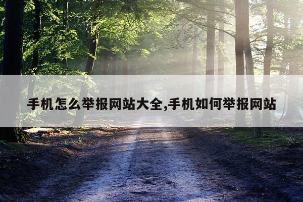 手机怎么举报网站大全,手机如何举报网站