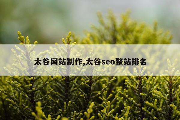 太谷网站制作,太谷seo整站排名