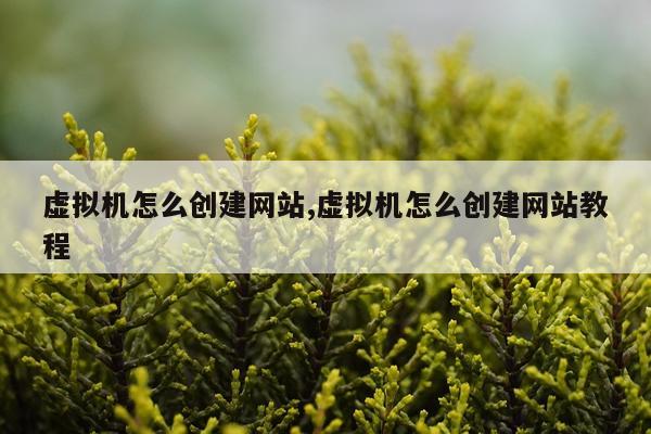 虚拟机怎么创建网站,虚拟机怎么创建网站教程