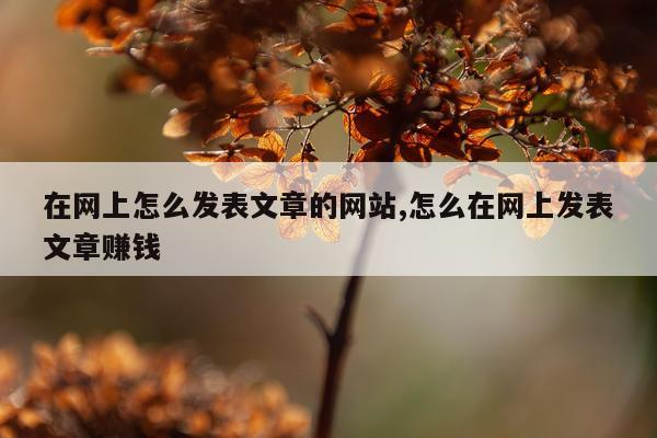 在网上怎么发表文章的网站,怎么在网上发表文章赚钱
