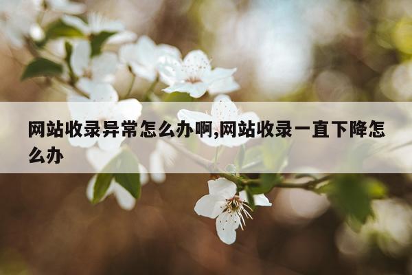 网站收录异常怎么办啊,网站收录一直下降怎么办