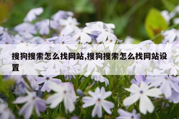 搜狗搜索怎么找网站,搜狗搜索怎么找网站设置