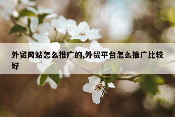 外贸网站怎么推广的,外贸平台怎么推广比较好