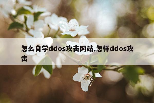 怎么自学ddos攻击网站,怎样ddos攻击