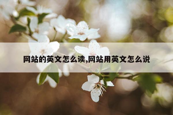 网站的英文怎么读,网站用英文怎么说