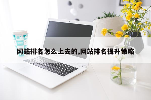 网站排名怎么上去的,网站排名提升策略