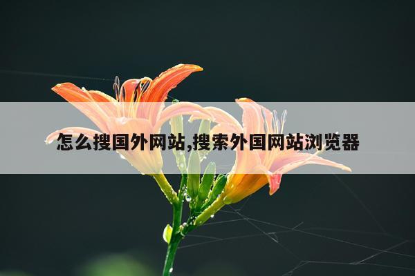怎么搜国外网站,搜索外国网站浏览器