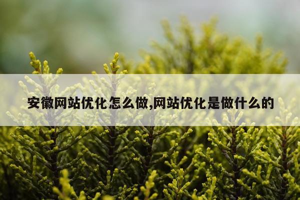 安徽网站优化怎么做,网站优化是做什么的